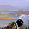 Westport Ireland Hotels