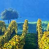 Mondorf-les-Bains