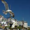 Torquay United Kingdom Hotels