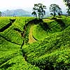 Bandung Indonesia Hotels