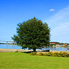 Middelfart Denmark Hotels