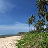 Brasilien Urlaub - Hotels Brasilien, Sightseeing Touren