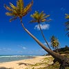 Tibau do Sul Brazil Hotels