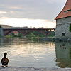 Maribor
