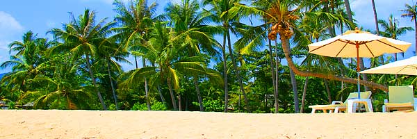 Empfohlene Hotels Lamai Beach