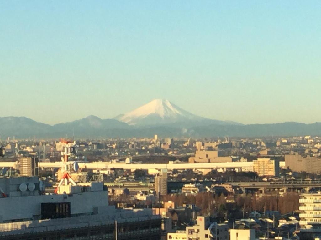 旅友拍摄于埼玉市